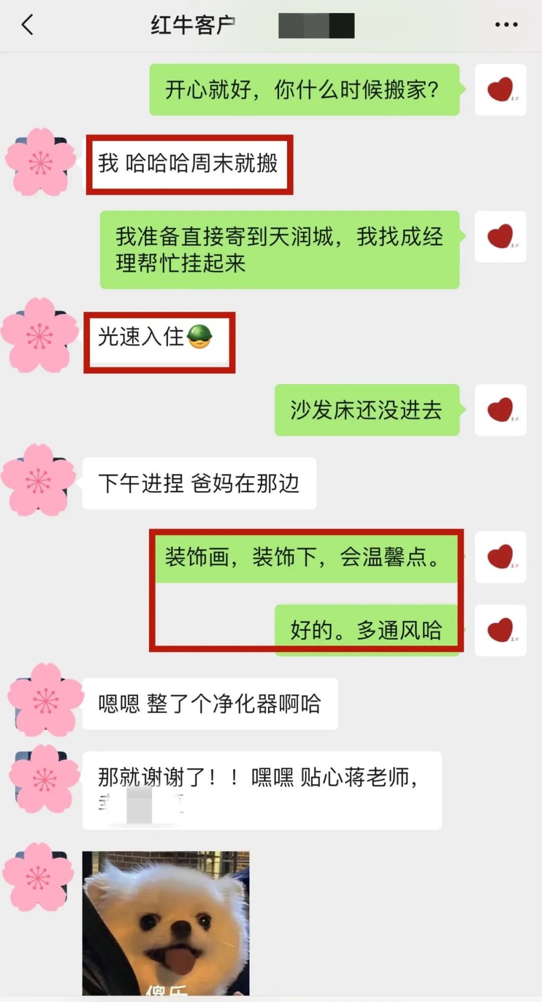 喜報(bào)｜金秋十月，收獲滿滿，紅牛裝飾再獲三面錦旗！05